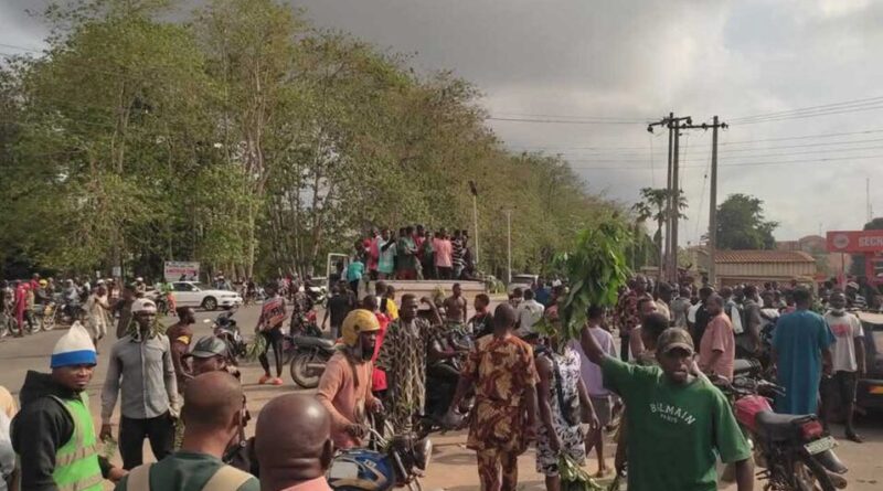 FARMERS IN ONDO PROTEST AS HERDSMEN ATTACK DISRUPT AGRICULTURE AND CROP YIELD